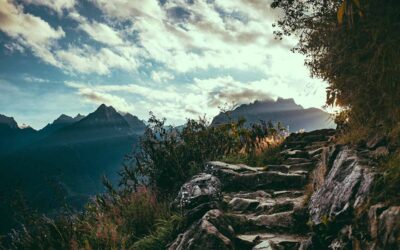 Transforming Trauma Into Growth